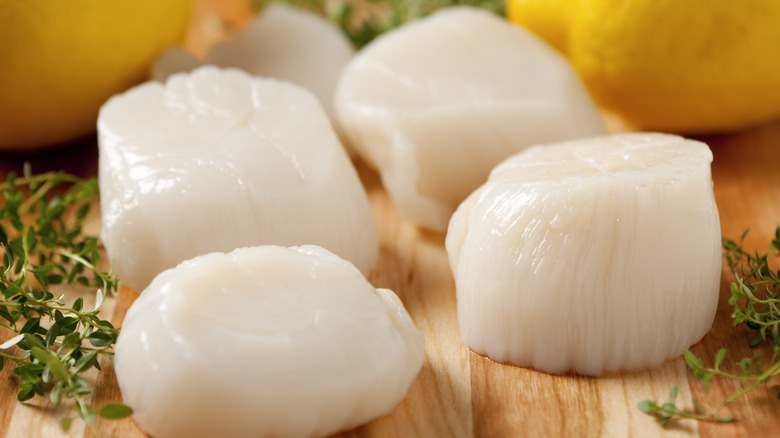 scallops on cutting board