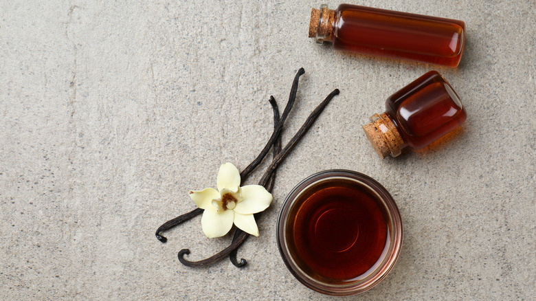 vanilla pods with vanilla extract