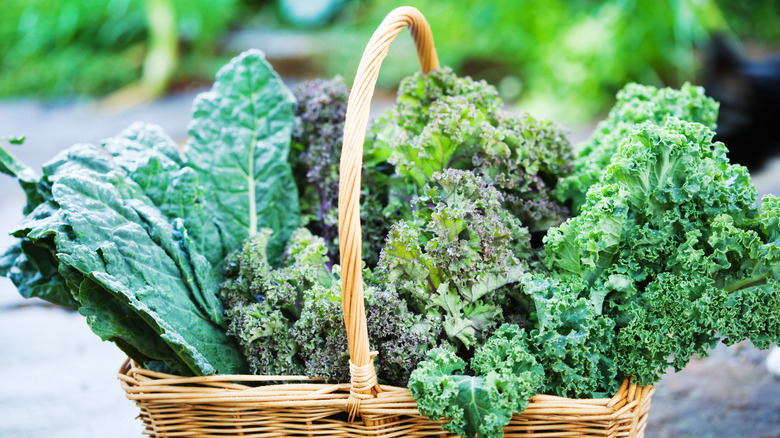 Kale in wicker basket