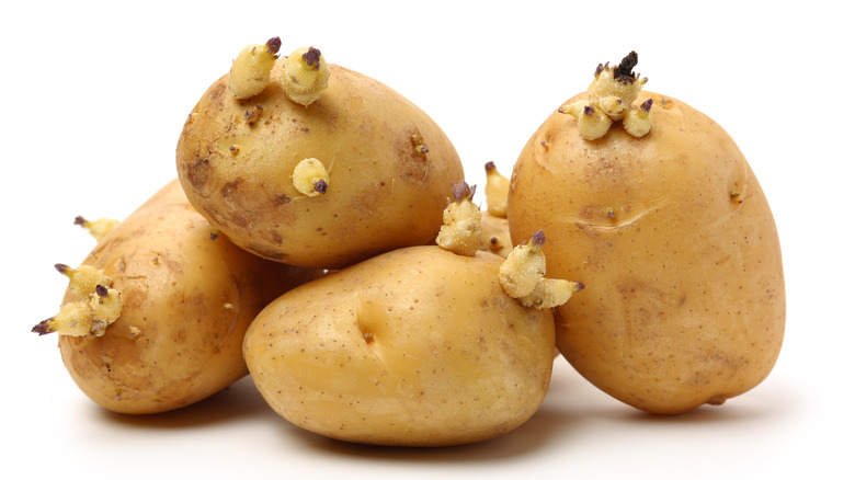 Four potatoes with eyes