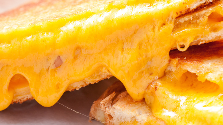 melted grilled cheese sandwich 