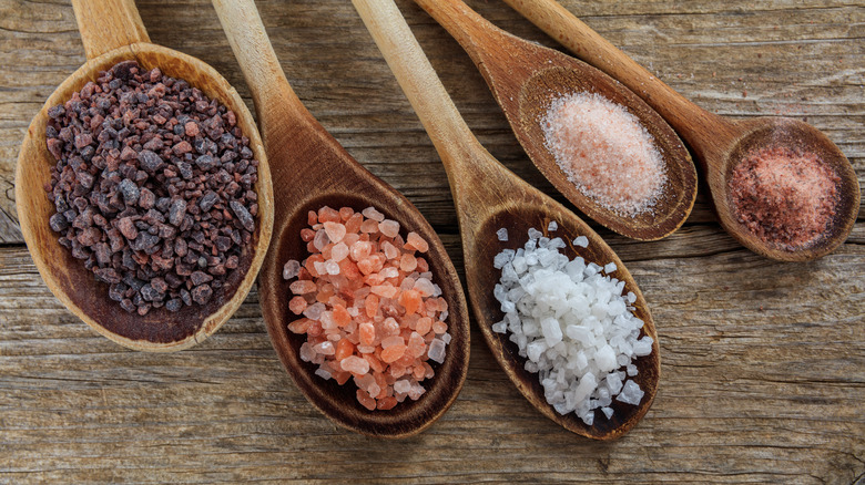 wooden spoons of different salt crystals