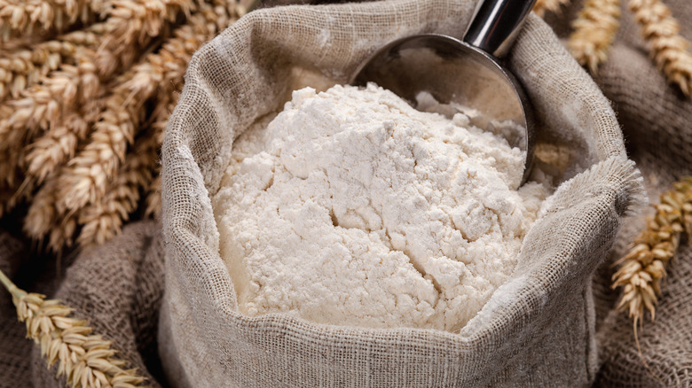 bag of flour in a sack