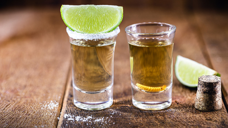 Shot glasses with tequila worm