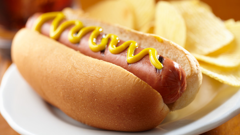 Hot dog with mustard and chips