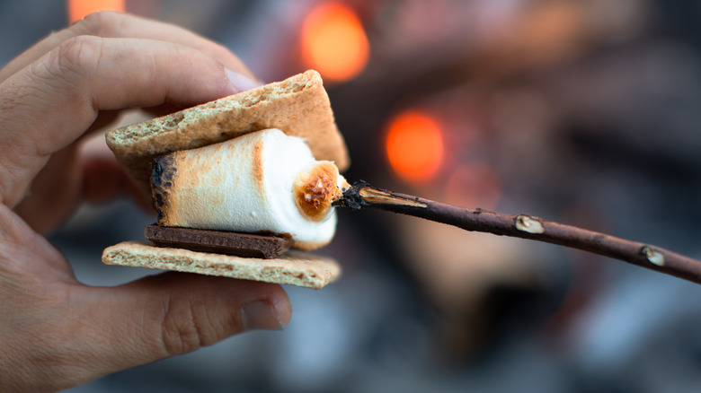 A person makes s'mores over a campfire