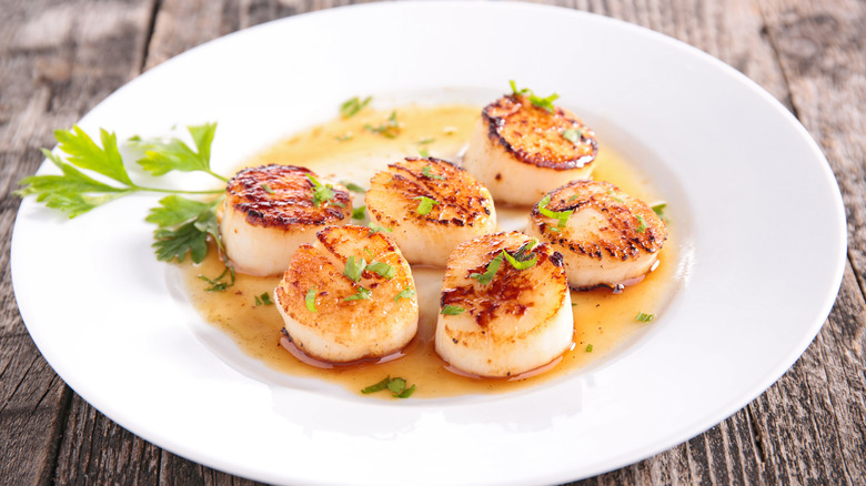 Seared scallops on plate