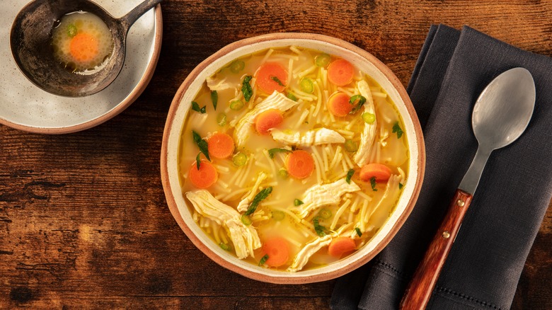 Bowl of chicken noodle soup with ladle