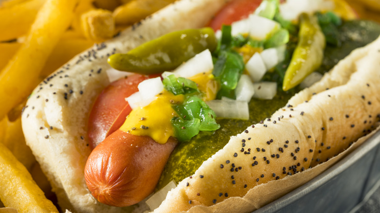 Chicago style hot dog